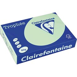 Kopierpapier Papago 80g A4 pastell-grün 500Bl