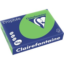 Kopierpapier Papago 80g A4 intensiv-maigrün 500Bl