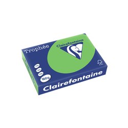 Kopierpapier Papago 160g A4 intensiv-maigrün 250Bl