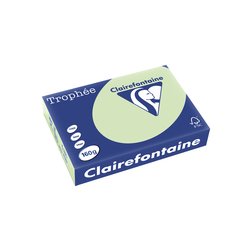 Kopierpapier Papago 160g A4 pastell-grün 250Bl