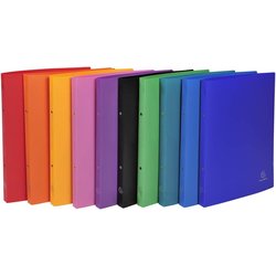 Ringbuch A4 2R 15mm PP 10-fach sortiert