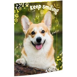 Zeichenmappe A3 mit Gummiverschluss Corgi