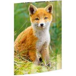 Zeichenmappe A3 mit Gummiverschluss Fuchs
