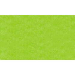 Blumenseide 20g 50x70cm 26Bg hellgrün