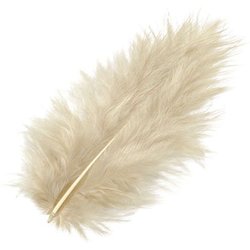 Marabufeder 10cm 15 Stück sand