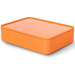 SMART-ORGANIZER ALLISON, orange mit Innenschale und Deckel