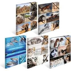 Sammelmappe Sortiment A4 Animals aus Karton