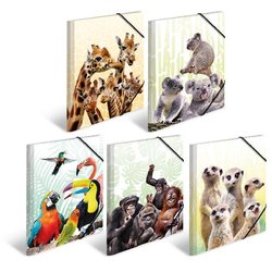 Sammelmappe A3 Karton Exotische Tiere