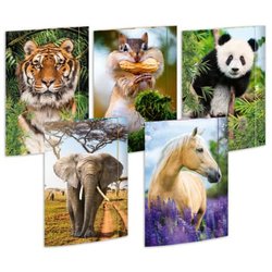 RNK Sammelmappe Sortiment Tiere A3 aus Karton
