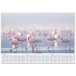 Papier-Schreibunterlage Design Flamingo